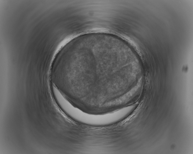 X0000096641373200803041116