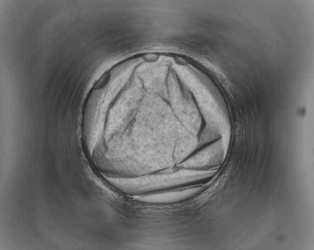 X0000096641374200803041116