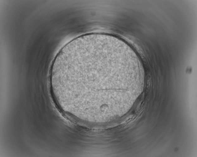 X0000096641375200803041116