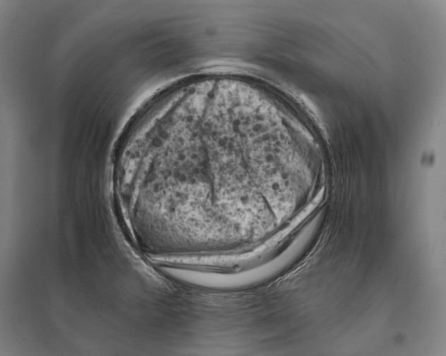 X0000096641376200803041116