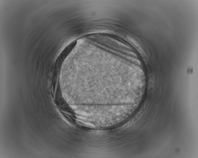 X0000096641377200803041116