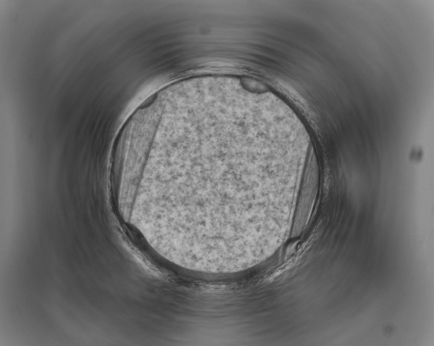 X0000096641378200803041116