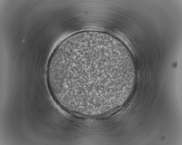 X0000096641379200803041116