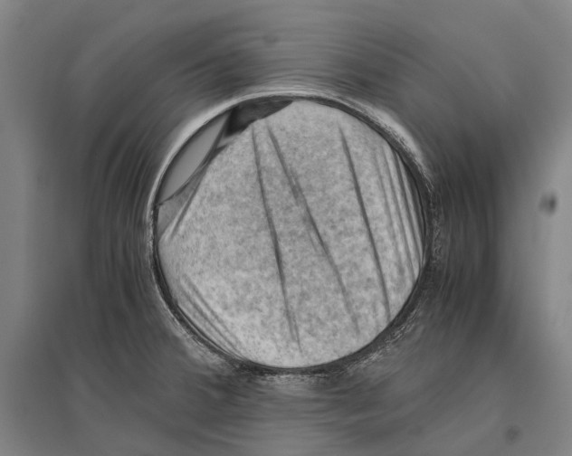 X0000096641380200803041116