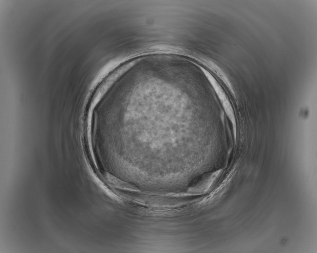 X0000096641381200803041116