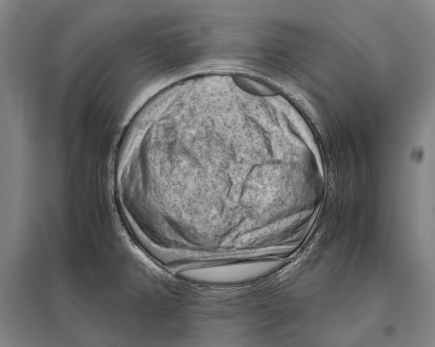 X0000096641382200803041116