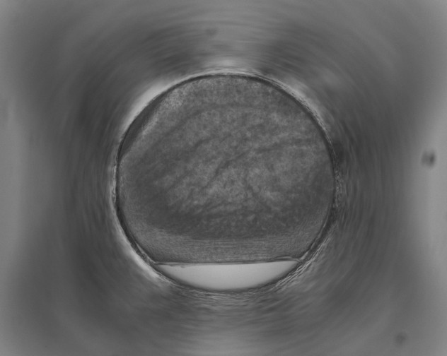 X0000096641383200803041116