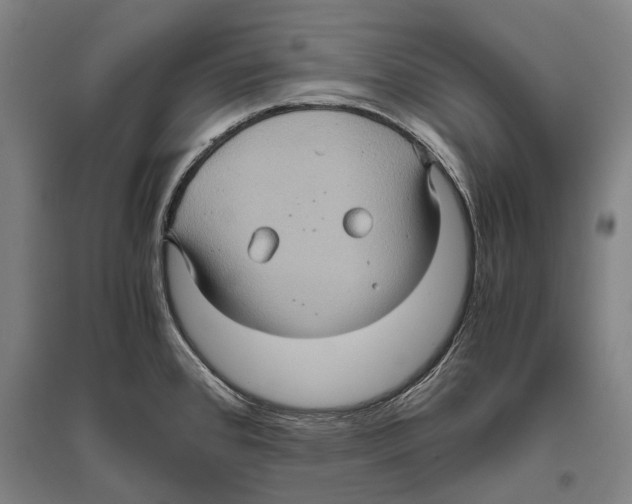 X0000096641384200803041116