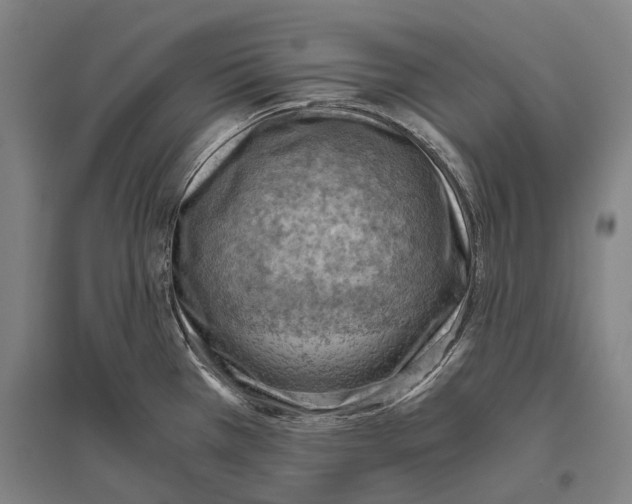 X0000096641385200803041116