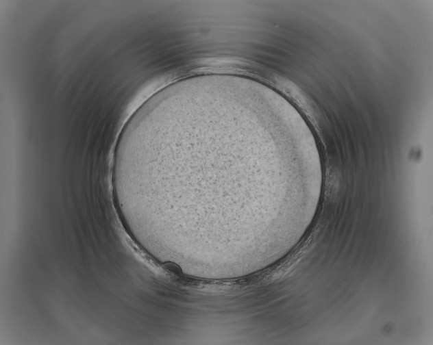 X0000096641386200803041116