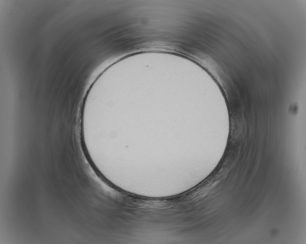 X0000096641387200803041116