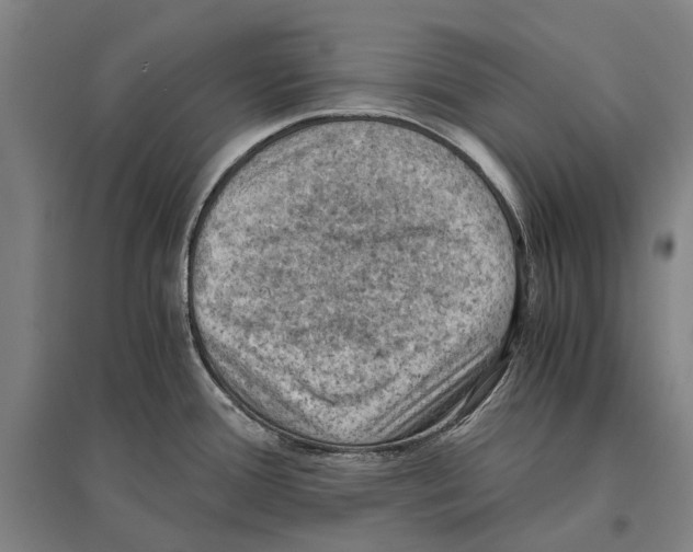 X0000096641388200803041116