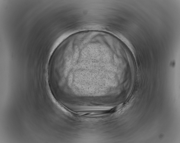 X0000096641389200803041116