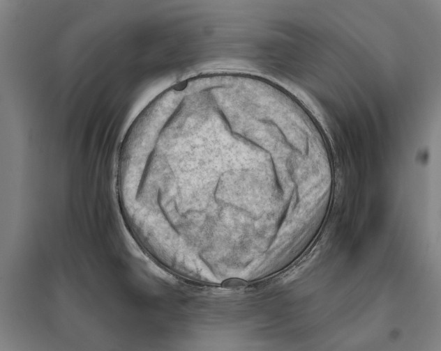 X0000096641390200803041116