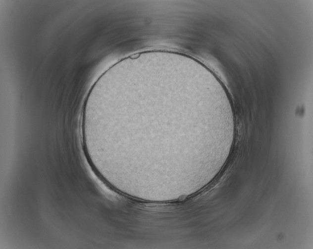 X0000096641391200803041116