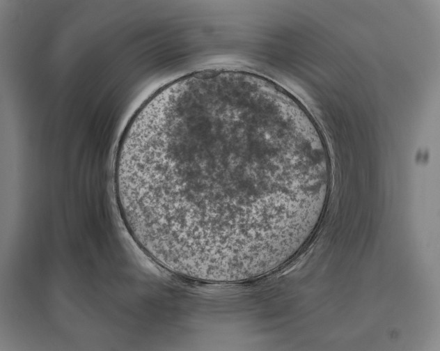 X0000096641392200803041116