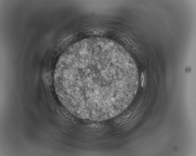 X0000096641395200803041116