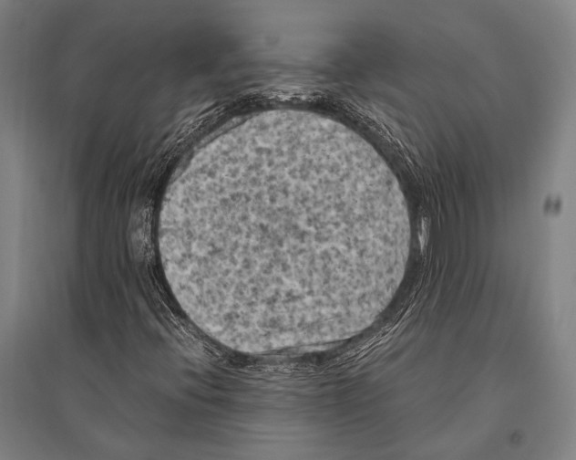 X0000096641396200803041116