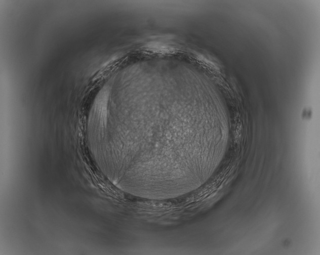 X0000096641397200803041116