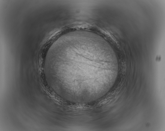 X0000096641399200803041116