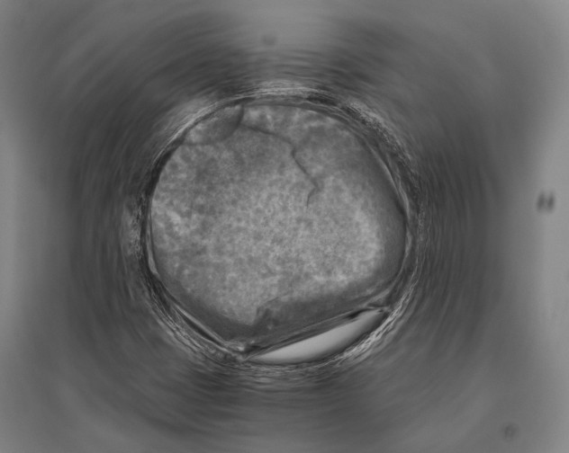 X0000096641401200803041116