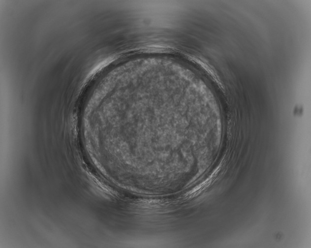 X0000096641402200803041116