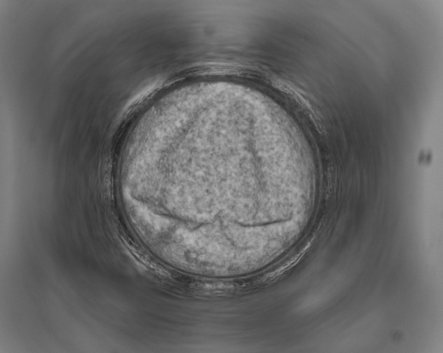 X0000096641403200803041116