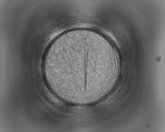 X0000096641404200803041116