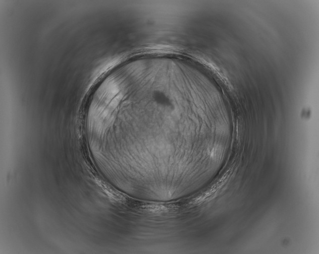 X0000096641405200803041116