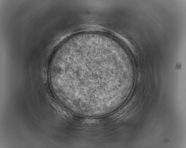 X0000096641407200803041116