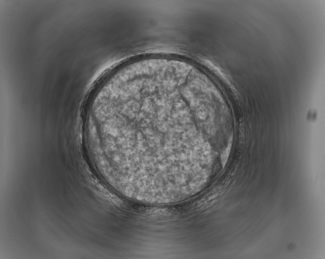 X0000096641408200803041116