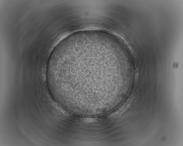 X0000096641409200803041116