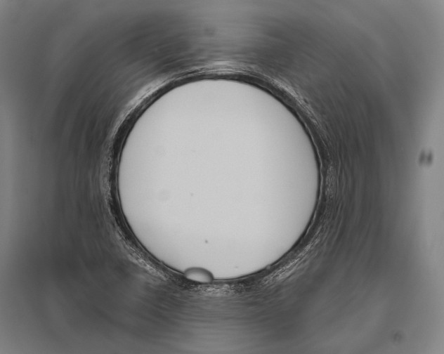 X0000096641410200803041116