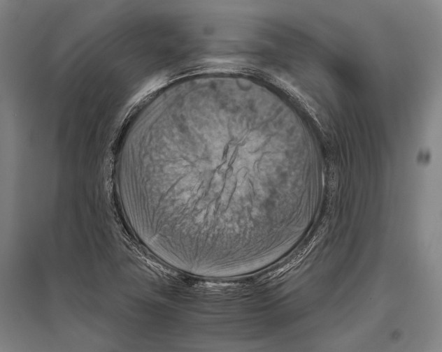 X0000096641411200803041116