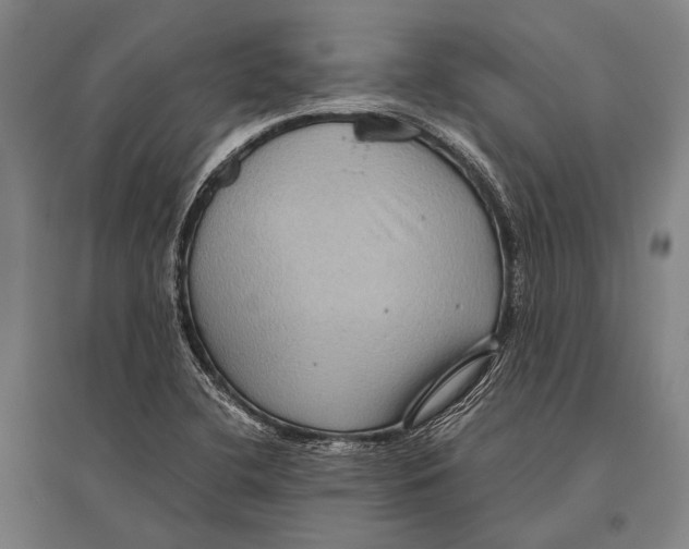 X0000096641412200803041116