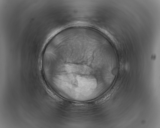 X0000096641413200803041116