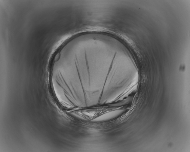 X0000096641414200803041116