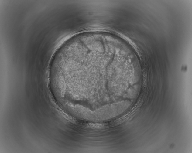 X0000096641415200803041116