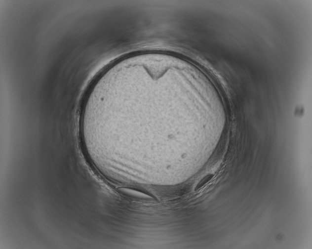 X0000096641416200803041116