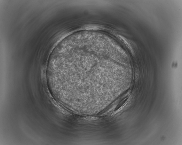 X0000096641417200803041116