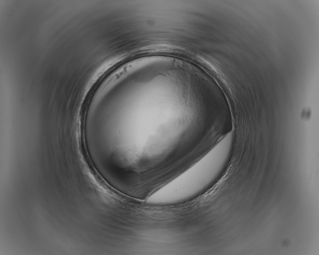 X0000096641418200803041116