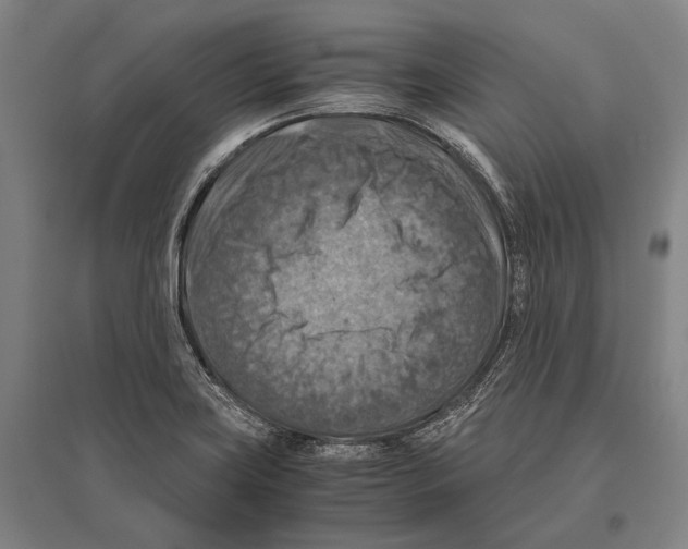 X0000096641419200803041116