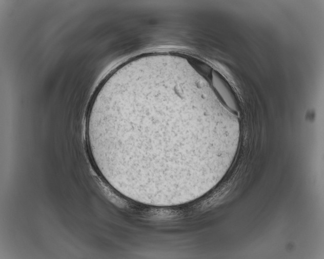 X0000096641420200803041116