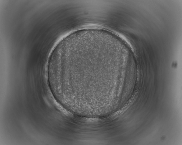 X0000096641421200803041116