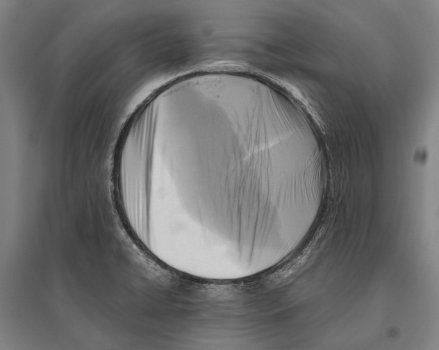 X0000096641422200803041116