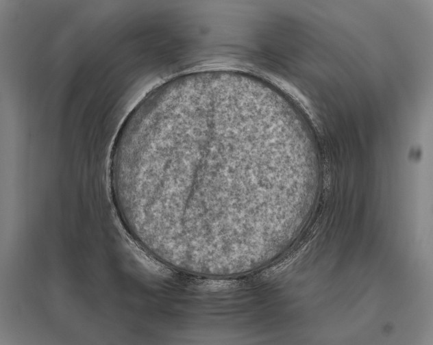 X0000096641423200803041116