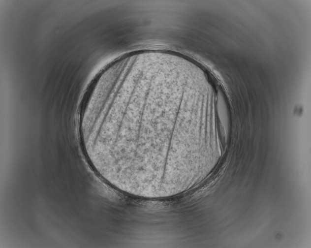 X0000096641424200803041116