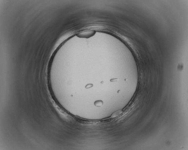 X0000096641426200803041116