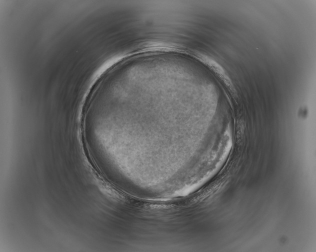 X0000096641427200803041116