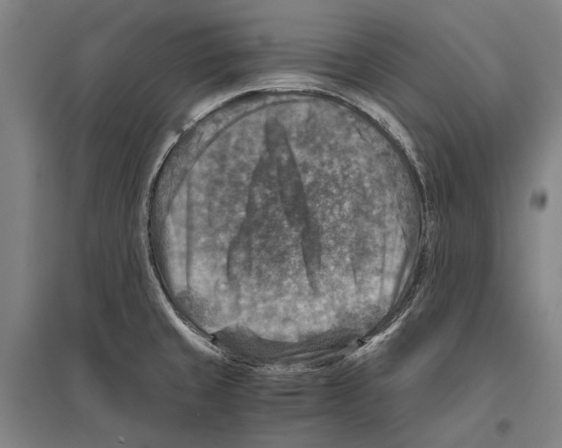 X0000096641429200803041116